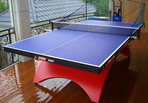天津乒乓球台_天津跃动体育用品销售有限公司